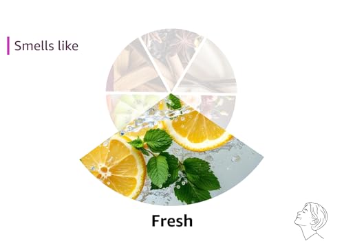 Elly & Grace - Scented Glass Soy Candle with Inspirational Bible Verse - Christian Gifts for Home Thinking of You Gifts for Women Candles