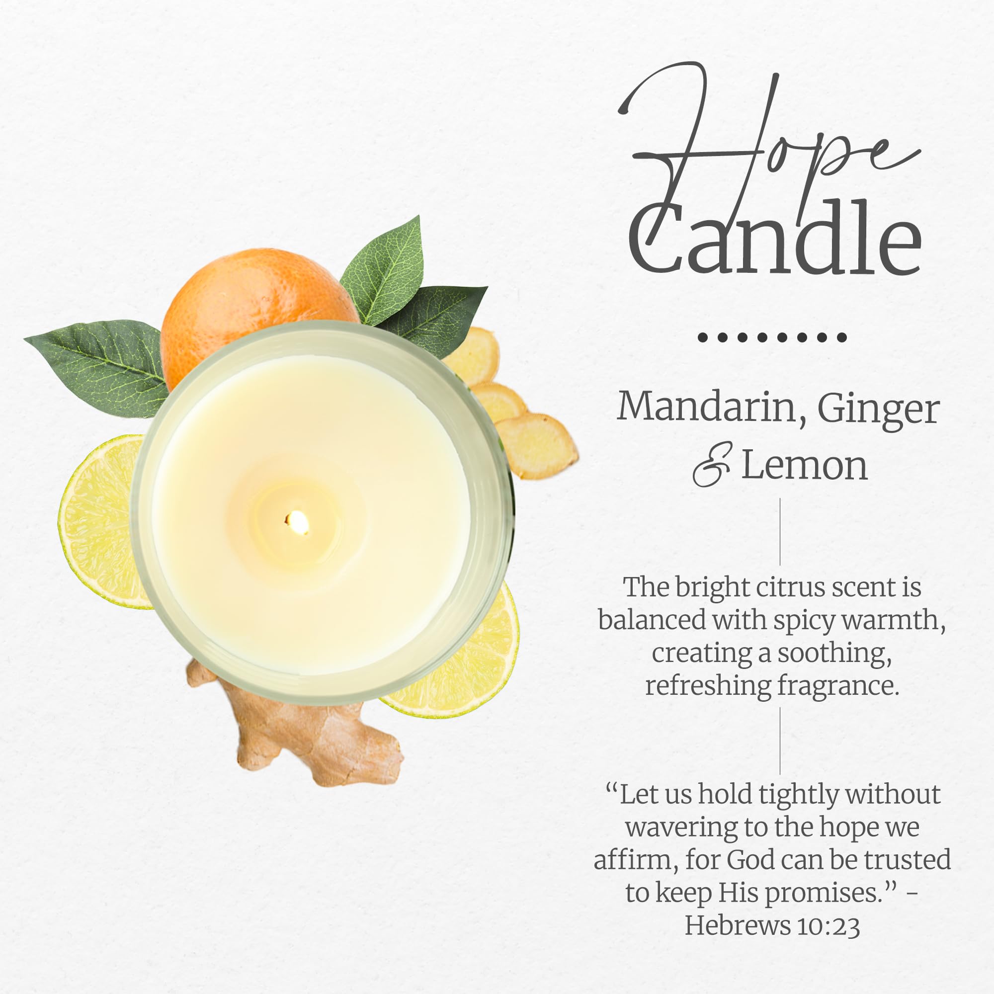 Elly & Grace - Scented Glass Soy Candle with Inspirational Bible Verse - Christian Gifts for Home Thinking of You Gifts for Women Candles